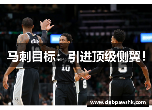 马刺目标：引进顶级侧翼！