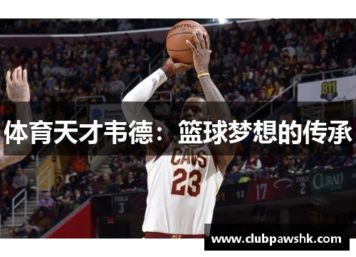 体育天才韦德：篮球梦想的传承